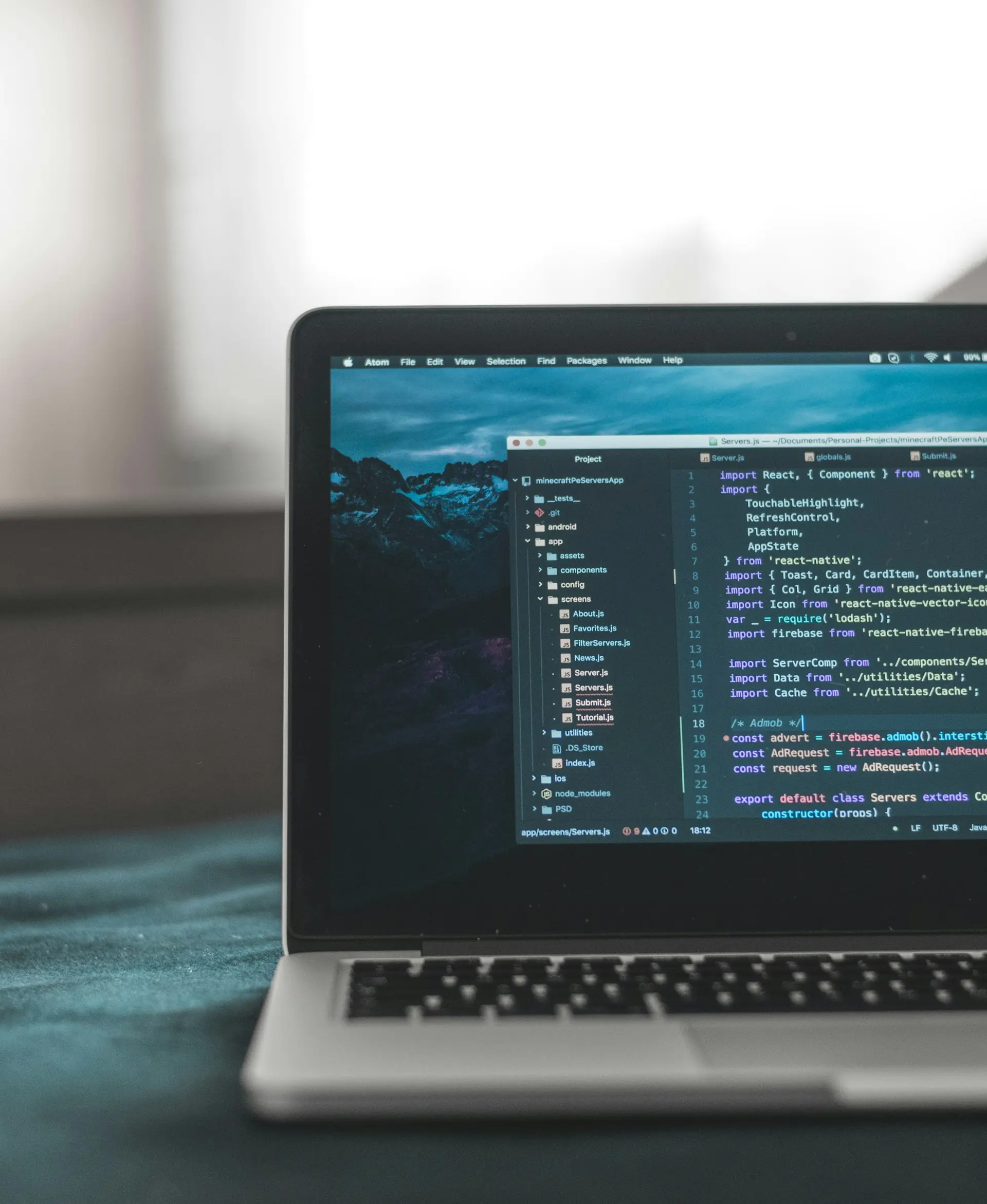 Web development